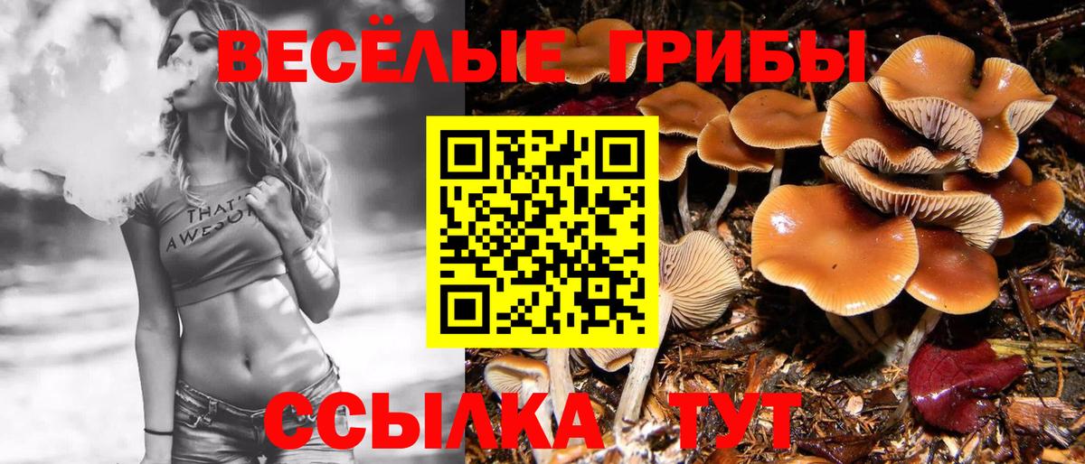 Псилоцибиновые грибы мухоморы  Вход с VPN  Карасук 